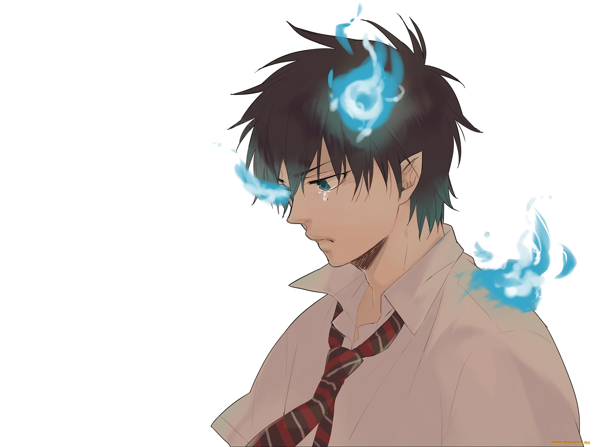 , ao no exorcist, 